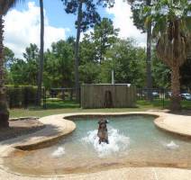 Jumping into the Pool