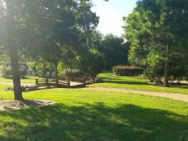 Garden View Trees